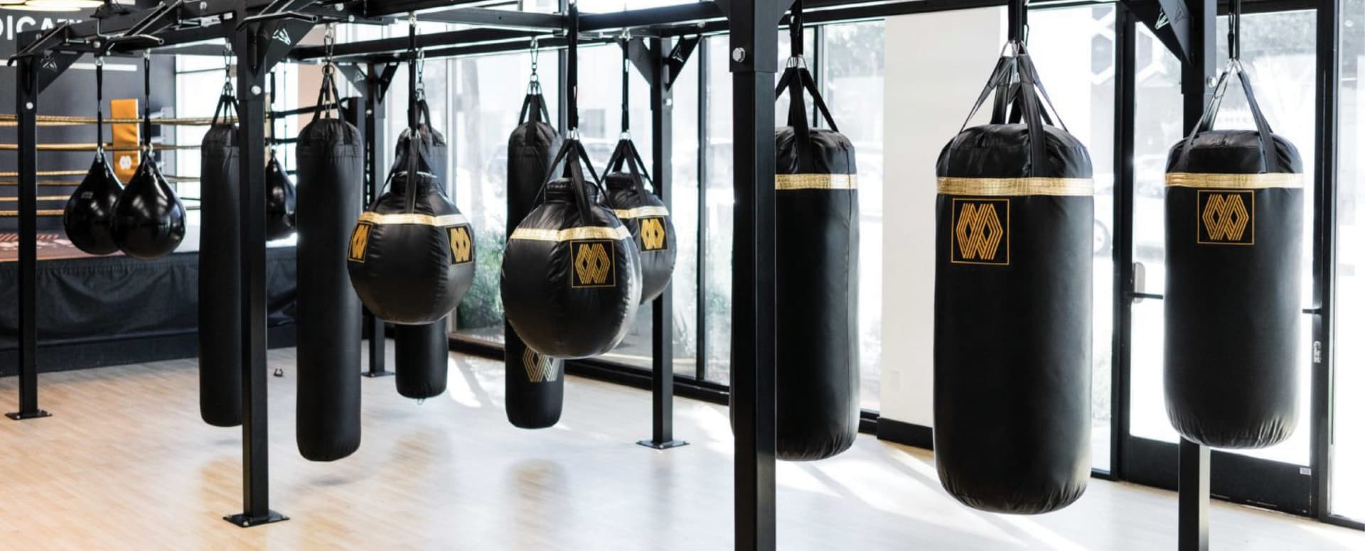 Case Study: Mayweather Boxing + Fitness featured image 