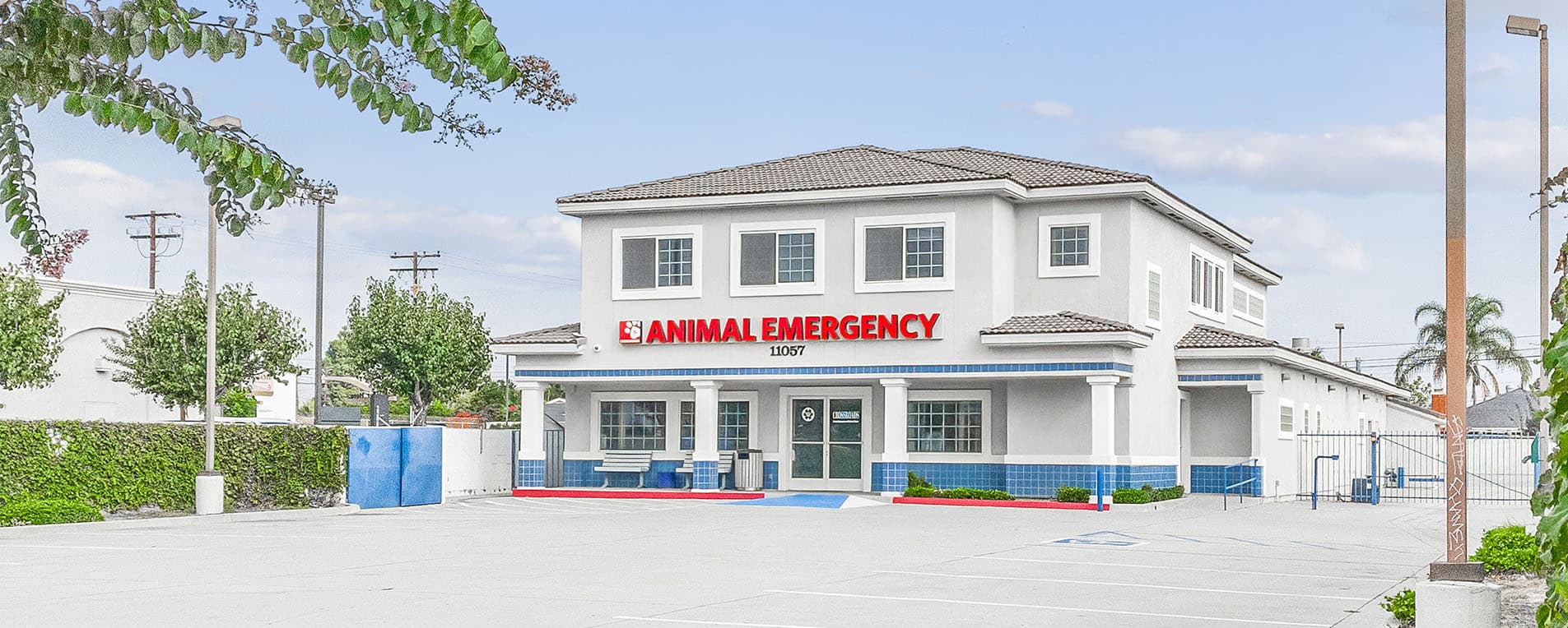 Case Study: Pathway Vet Alliance image