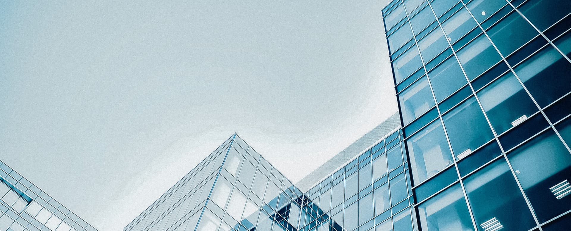 Matthews™ Unveils New Brand Identity as It Marks a Decade of National Growth featured image 