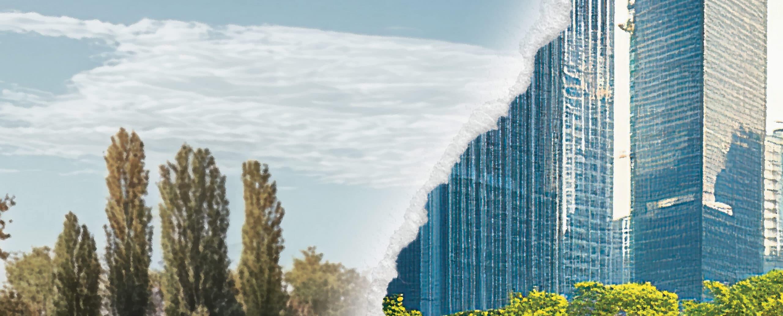 Blog Image for From Dirt to Deal Article