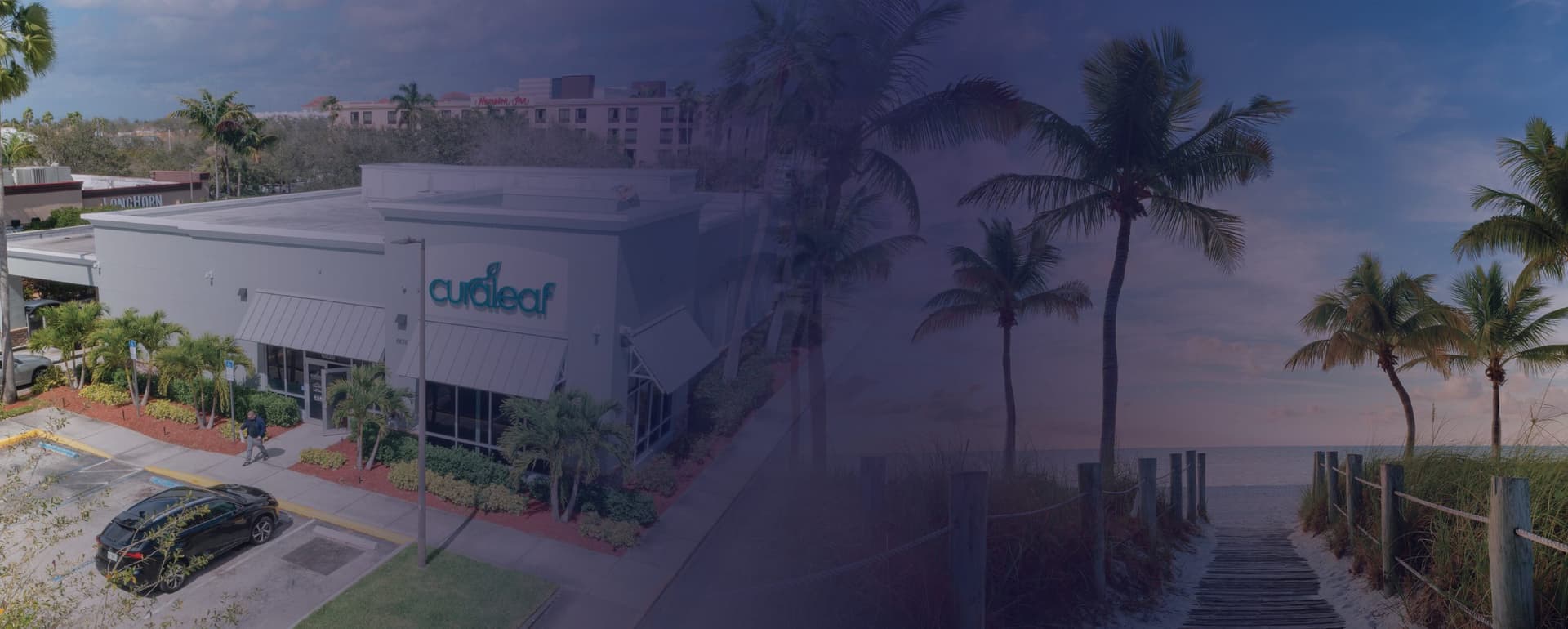 Florida Cannabis Dispensary Report featured image