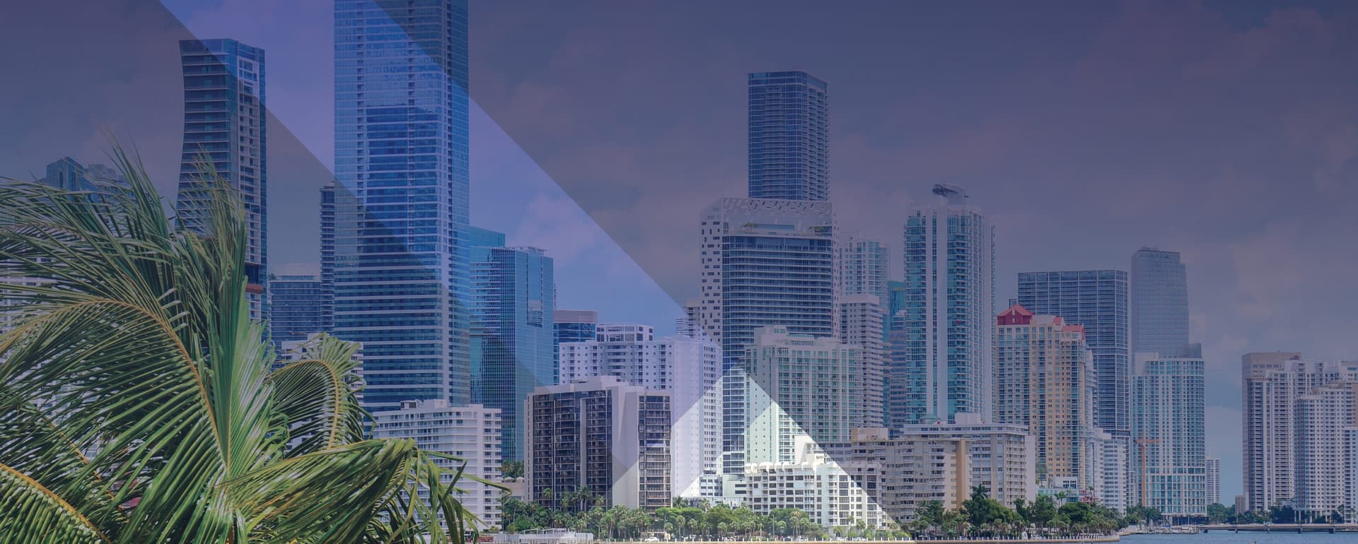 Hospitality Market Report | Miami, FL featured image