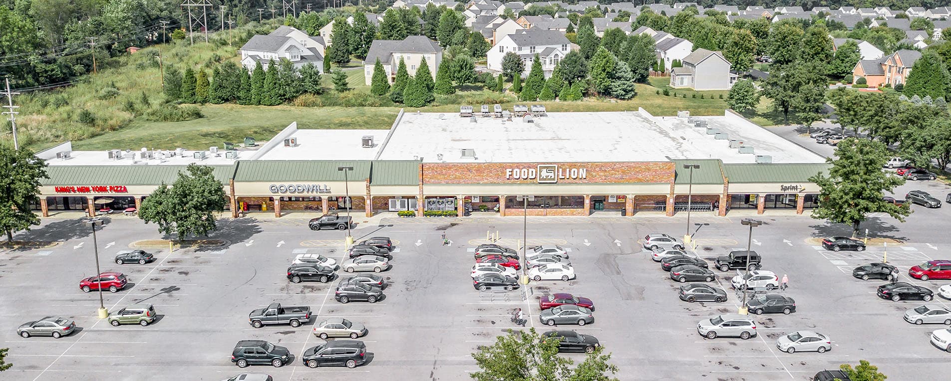 Case Study: Food Lion Portfolio featured image