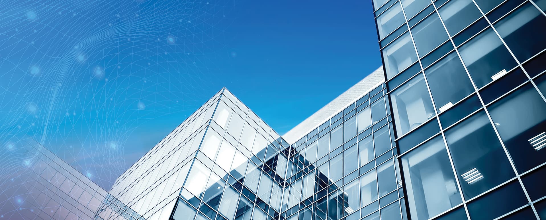 Insights From the Front Lines | Investor Survey featured image