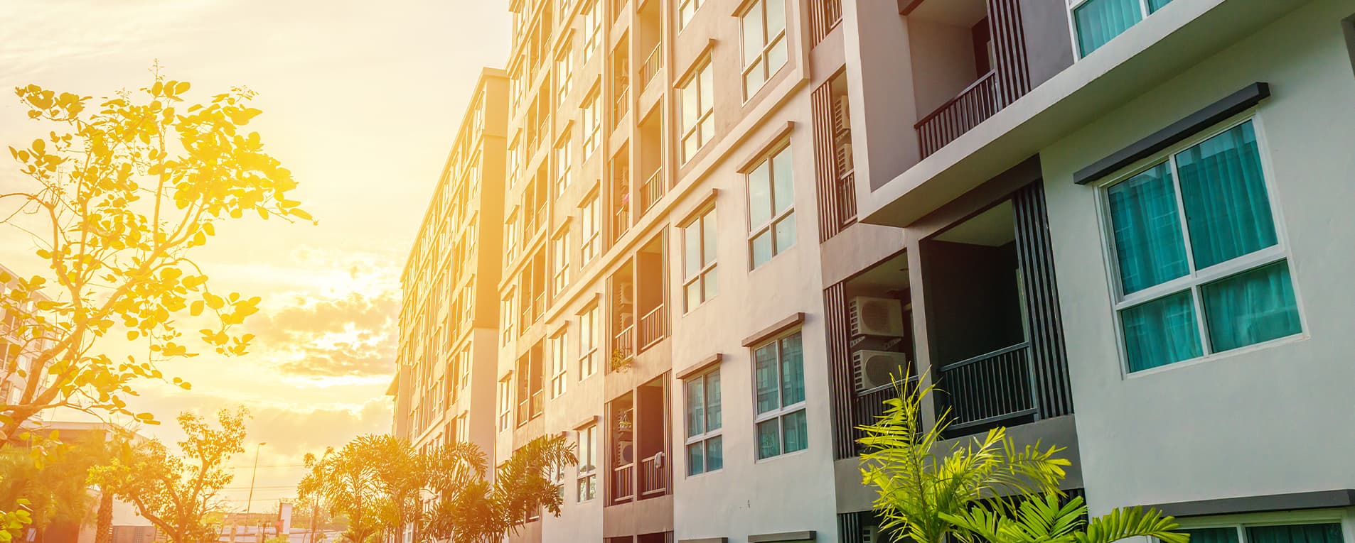 An Update on Renter Protections featured image