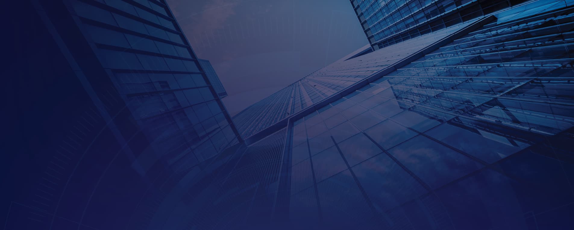 Investor Survey | H1 2024 Results featured image