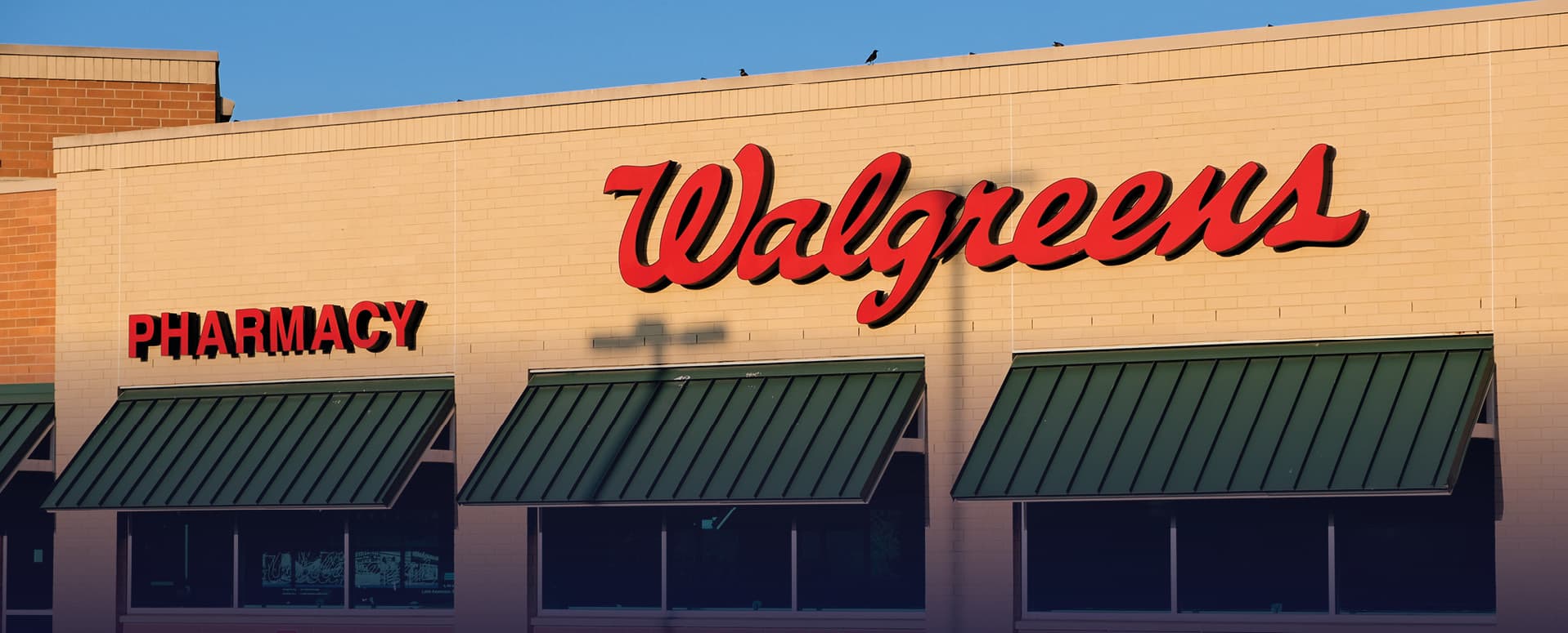 Q225 Florida Drugstore Tenant Report featured image