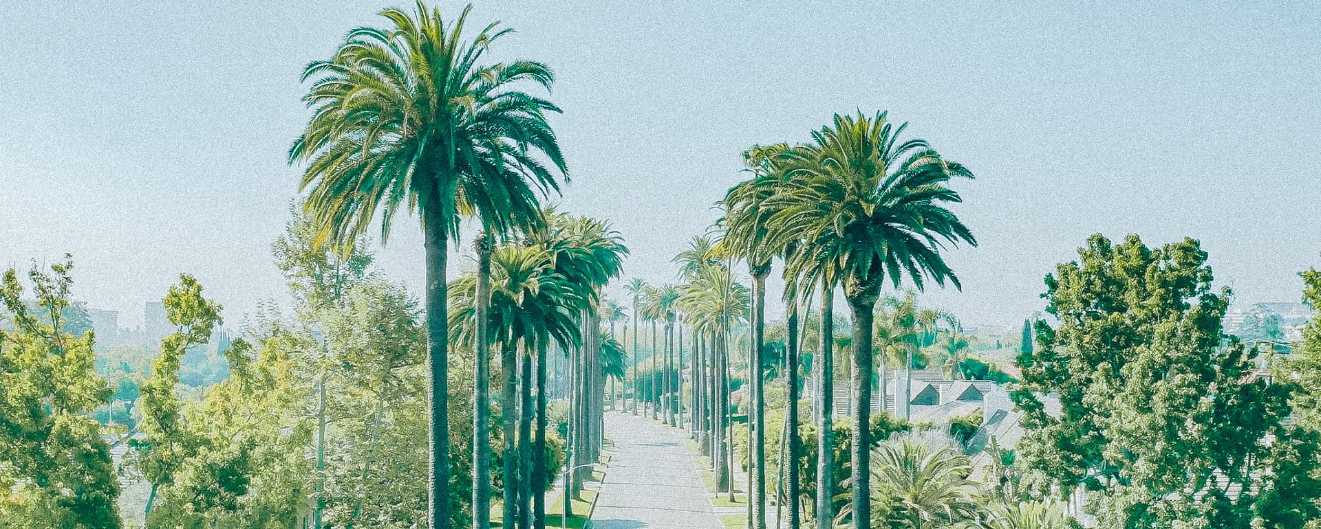 Sherman Oaks & Studio City Multifamily Market Report 2025 featured image